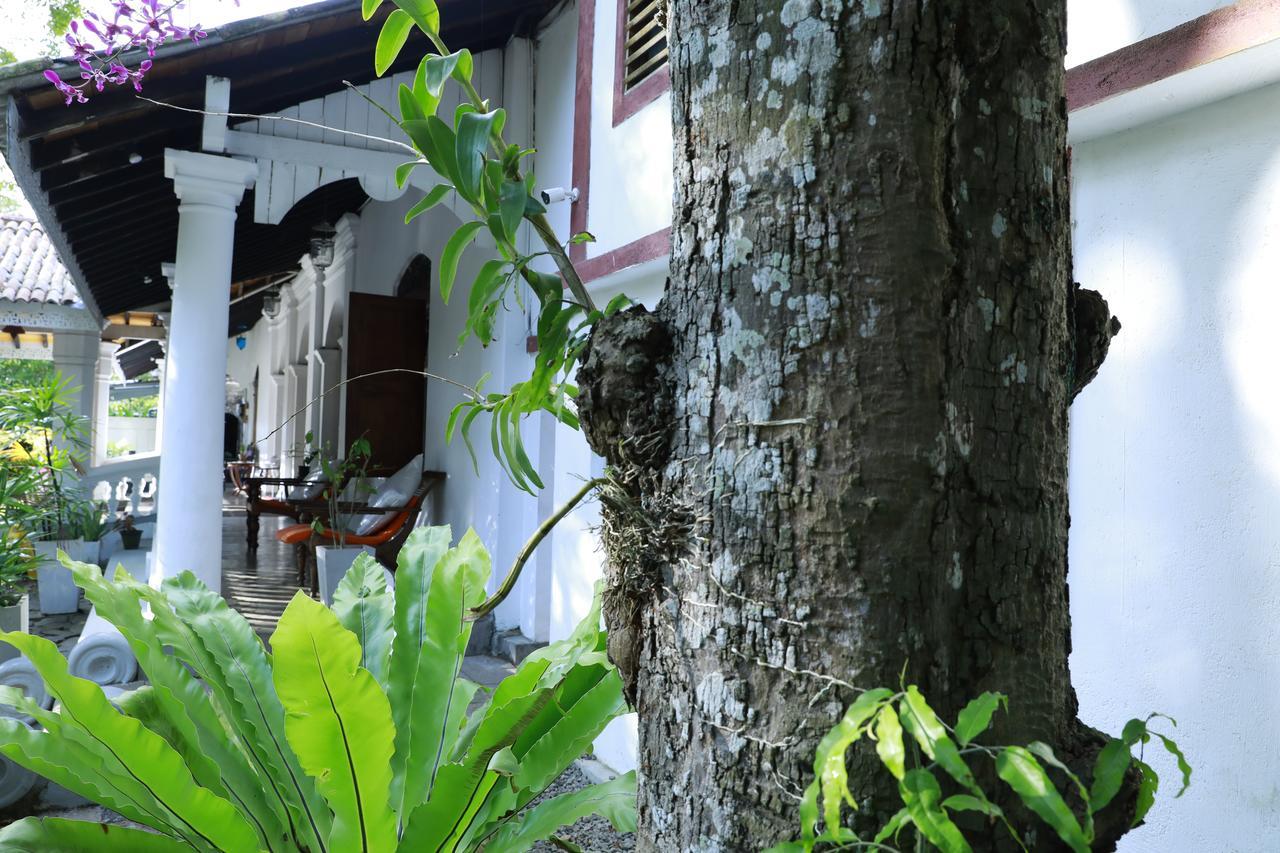 Nooit Gedacht Heritage Hotel Unawatuna Extérieur photo